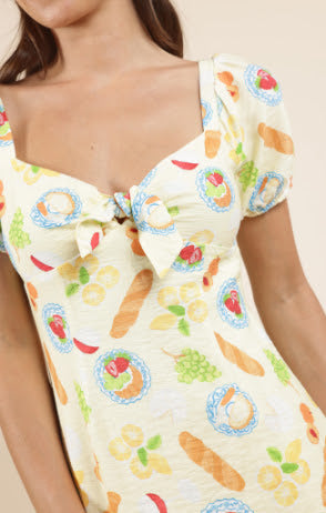 Picnic Pursuits Front Tie Mini Dress