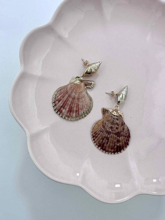 Big Shell Conch Earrings